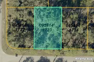 Alfalfa Ave, North Port, FL 34291 - Photo 1