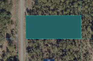 1811-016-025 SW Little Cliffs Dr, Dunnellon, FL 34431 - Photo 1