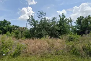 12129 Claremont Dr, Port Charlotte, FL 33981 - Photo 1