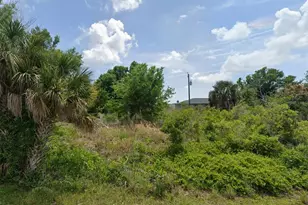 12137 Claremont Dr, Port Charlotte, FL 33981 - Photo 1