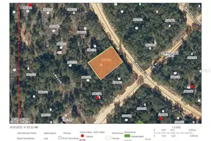 Lake Lucy Circle, Interlachen, FL 32148 - Photo 1