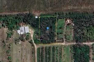 6223 Pinecrest Dr, Bokeelia, FL 33922 - Photo 1