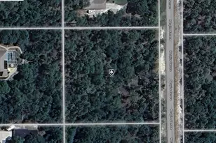 4996 N Lupine Terrace, Beverly Hills, FL 34465 - Photo 1