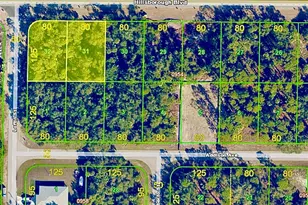 19129 Hillsborough Blvd, Port Charlotte, FL 33954 - Photo 1