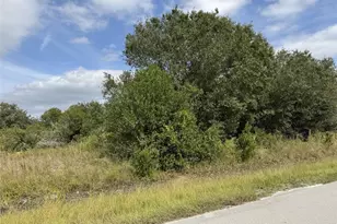 4545 56th Ave NE, Naples, FL 34120 - Photo 1