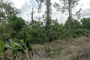 400 Duckling Ave, Sebring, FL 33872 - Photo 1