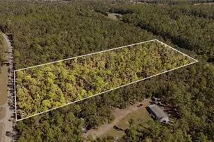 NE Nixon Way, Madison, FL 32340 - Photo 1