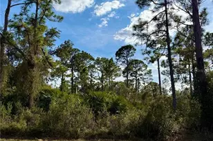 Burwin Ave, North Port, FL 34291 - Photo 1