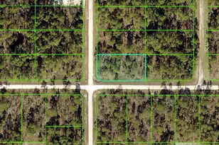 Force Rd, Weeki Wachee, FL 34614 - Photo 1
