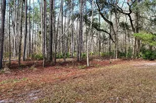 SE 68th Terrace, White Springs, FL 32096 - Photo 1