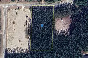 2531 Ocean Pond Rd, Perry, FL 32348 - Photo 1