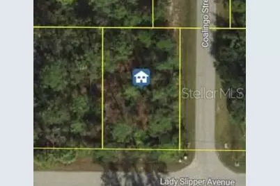 Lady Slipper Avenue, North Port, FL 34291 - Photo 1
