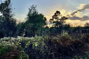 14416 NW 252nd St, Okeechobee, FL 34972 - Photo 1