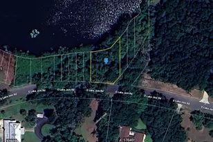 27720 Lake Jem Rd, Mount Dora, FL 32757 - Photo 1