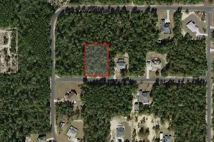 4393 W Cameo Ln, Dunnellon, FL 34433 - Photo 1