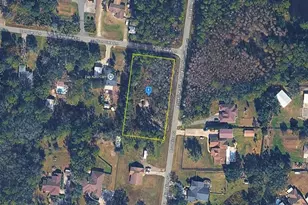 27272 Iron Gate Ln, Wesley Chapel, FL 33544 - Photo 1