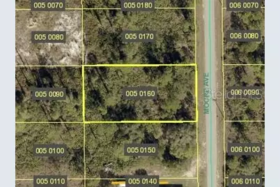 807 Moore Avenue, Lehigh Acres, FL 33972 - Photo 1