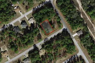 817 W Smallman Pl, Citrus Springs, FL 34434 - Photo 1