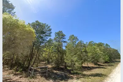 835 Deerwood Avenue, Perry, FL 32348 - Photo 1