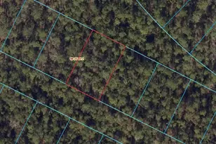 08-3S-32-1200-310-003 Inaccessible Track, Pensacola, FL 32507 - Photo 1