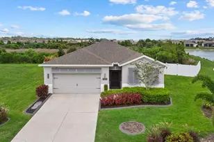 3613 Mossy Limb Ct, Palmetto, FL 34221 - Photo 1