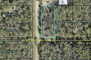 4790 Benedict St, Hastings, FL 32145 - Photo 1