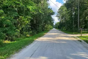 1763 Sherwood St, Bunnell, FL 32110 - Photo 1