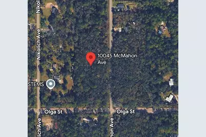 10045 McMahon Avenue, Hastings, FL 32145 - Photo 1