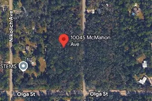 10045 McMahon Ave, Hastings, FL 32145 - Photo 1