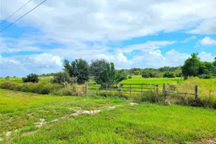 9965 S US Hwy 37, Mulberry, FL 33860 - Photo 1