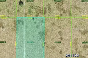 Lot 5 Lake Buffum Road S, Fort Meade, FL 33841 - Photo 1