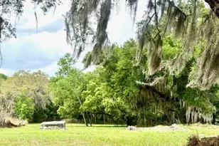 1031 Orange Blvd, Polk City, FL 33868 - Photo 1