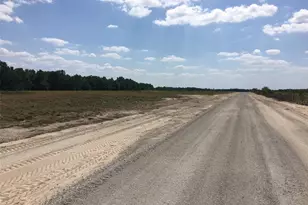 725 Brooke Rd, Fort Meade, FL 33841 - Photo 1