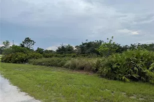 2000 W Bermuda Rd, Avon Park, FL 33825 - Photo 1