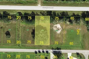 30360 Beech Rd, Punta Gorda, FL 33982 - Photo 1