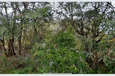 Constitution Drive, North Port, FL 34291 - Photo 1