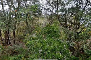 Constitution Dr, North Port, FL 34291 - Photo 1