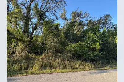 1799 NE Voss Oaks Circle, Arcadia, FL 34266 - Photo 1