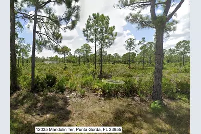 12035 Mandolin Terrace, Punta Gorda, FL 33955 - Photo 1
