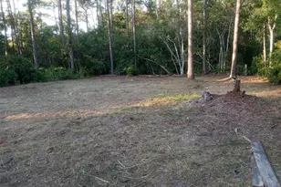 12955 Rio Vista Ave, New Port Richey, FL 34654 - Photo 1