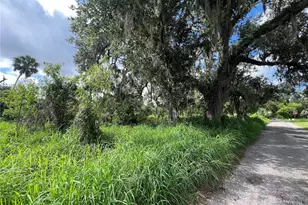 Ash St, Arcadia, FL 34266 - Photo 1