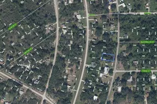 356 Bottlebrush Ave, Lake Placid, FL 33852 - Photo 1