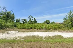 13417 Alocasia Ln, Port Charlotte, FL 33981 - Photo 1