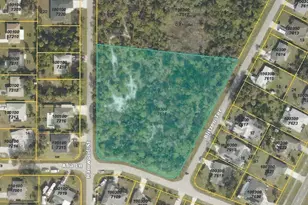 Blitzen Terrace, North Port, FL 34287 - Photo 1