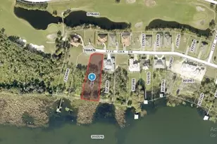 Live Oak Dr, Tavares, FL 32778 - Photo 1
