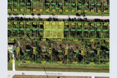 26321 Flower Road, Punta Gorda, FL 33955 - Photo 1