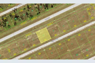 12253 Tripletail Drive, Placida, FL 33946 - Photo 1