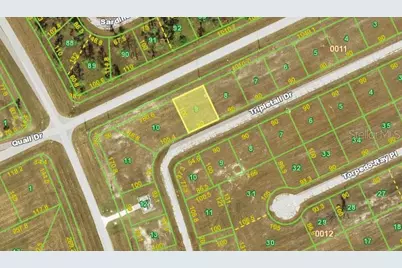 12283 Tripletail Drive, Placida, FL 33946 - Photo 1