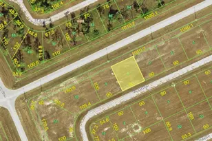 12273 Tripletail Dr, Placida, FL 33946 - Photo 1