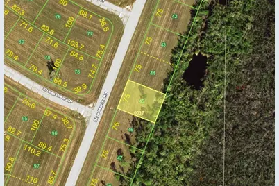 13060 Blue Marlin Road, Placida, FL 33946 - Photo 1
